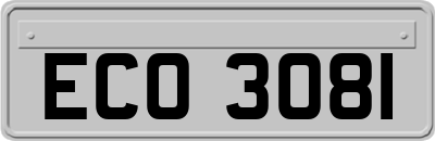 ECO3081
