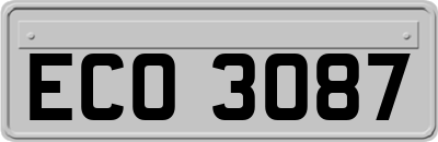 ECO3087