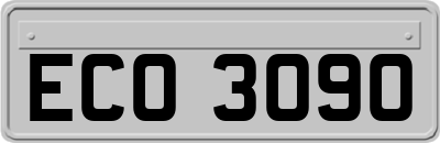 ECO3090
