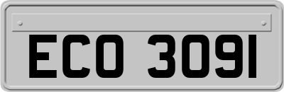 ECO3091