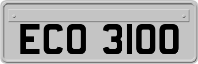 ECO3100