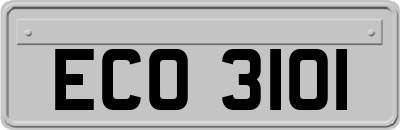 ECO3101