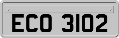 ECO3102
