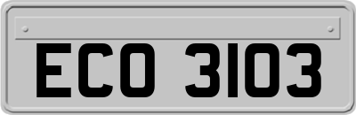ECO3103