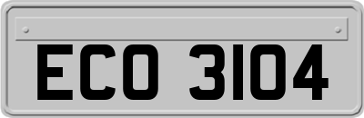 ECO3104
