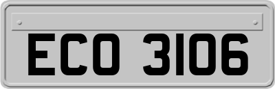 ECO3106