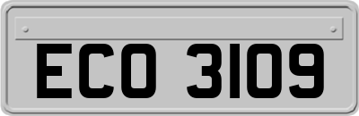 ECO3109