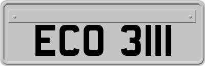 ECO3111