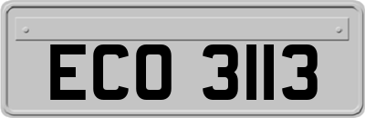 ECO3113