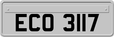 ECO3117