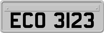ECO3123
