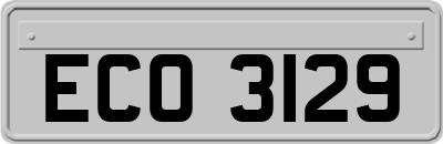 ECO3129
