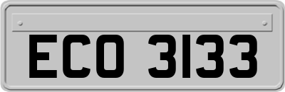 ECO3133
