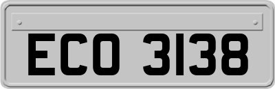 ECO3138
