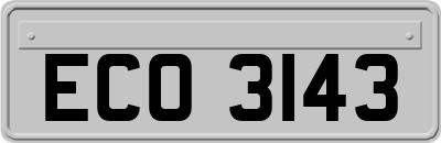 ECO3143