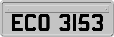 ECO3153