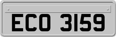 ECO3159