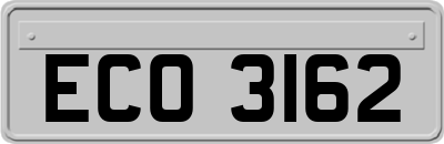 ECO3162
