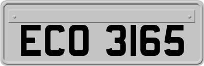 ECO3165