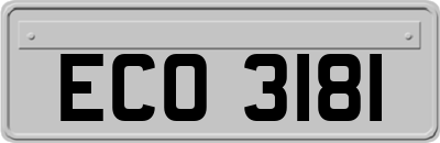 ECO3181