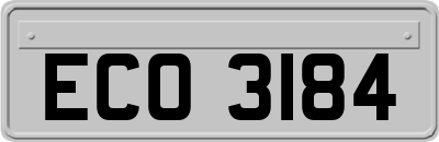 ECO3184