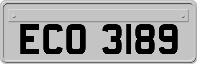 ECO3189