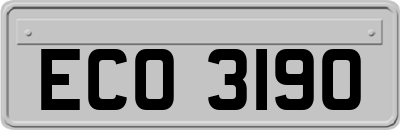 ECO3190