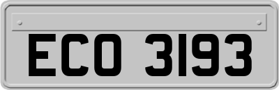 ECO3193