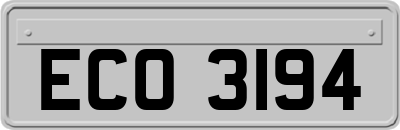 ECO3194