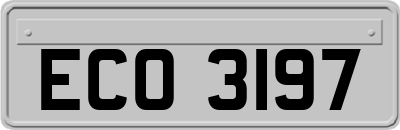 ECO3197