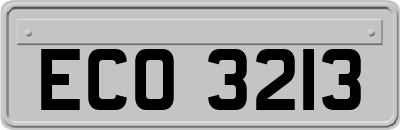 ECO3213