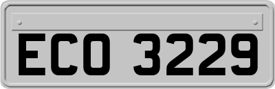 ECO3229
