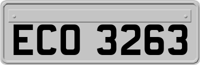 ECO3263