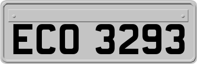 ECO3293
