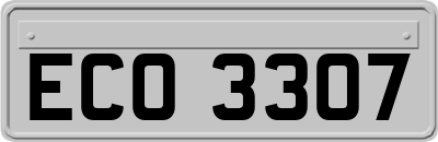 ECO3307
