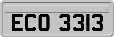 ECO3313