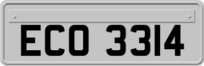 ECO3314