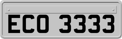ECO3333