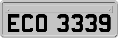 ECO3339