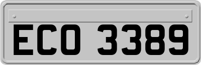 ECO3389