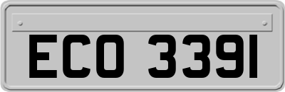 ECO3391