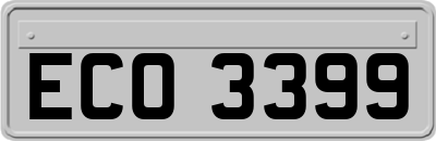 ECO3399