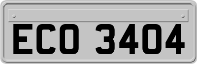ECO3404