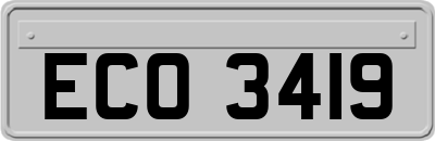 ECO3419