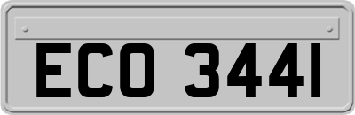 ECO3441
