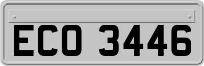 ECO3446