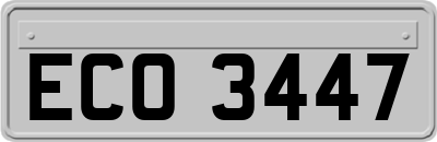 ECO3447