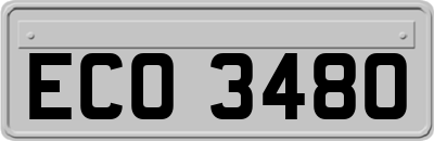 ECO3480