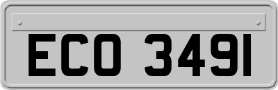 ECO3491