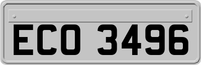 ECO3496